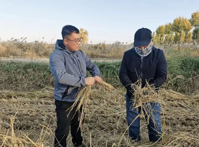 养殖视频致富经_养殖致富项目视频_90后养殖致富案例视频