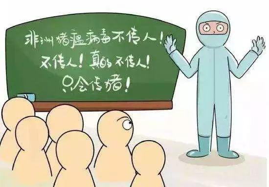 野猪养殖基地视频_野猪养殖视频农广天地_广东致富经养殖野猪致富