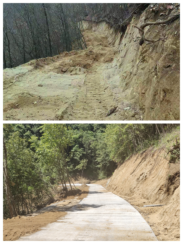 农村种植致富案例_陕西农村种植什么赚钱不愁销路_陕西种植致富案例