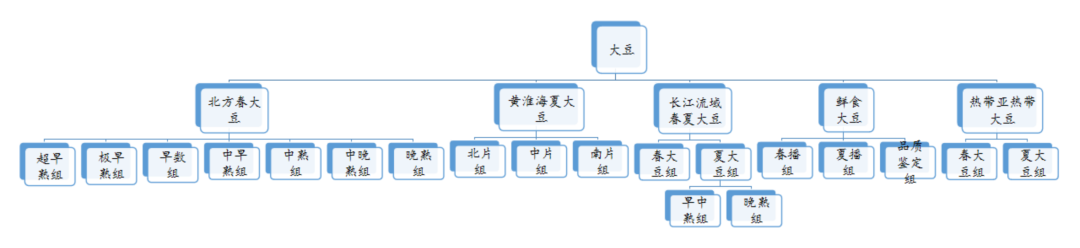 大豆生态区划分