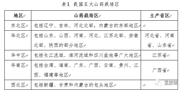 淮山药种植技术_淮山药种植技术视频_淮山药种植技术用竹子可以吗