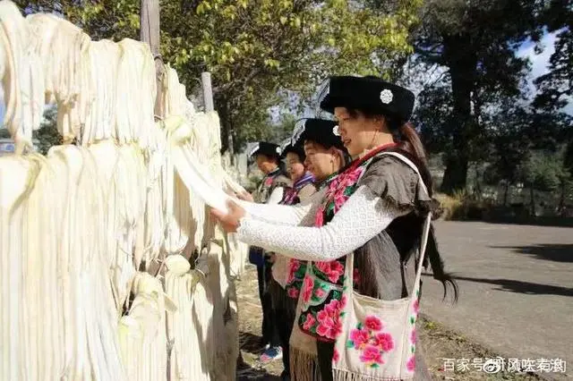 野生菌种植基地_野生菌类栽培技术_野生菌种植致富