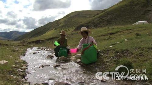 致富经报道怎样做鱼宴_致富经鱼_致富经鱼菜共养