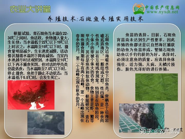 视频刺猬养殖技术大师_大刺猬养殖技术视频_视频刺猬养殖技术大全图片