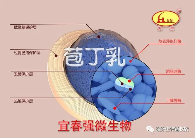 发酵床养殖的四个关键技术点