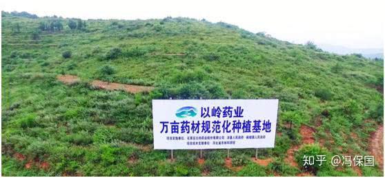 致富河北种植农民视频_河北农村种植什么最赚钱_河北农民种植致富