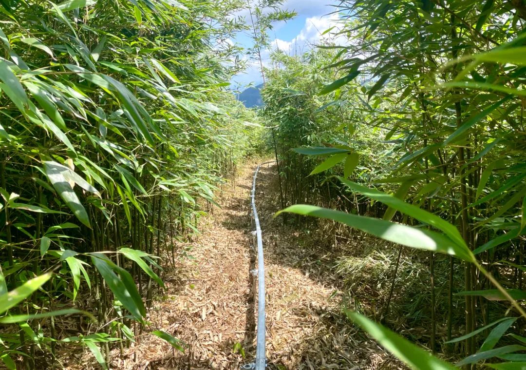 特色科研种植致富_种植致富新项目_致富科研基地在哪里