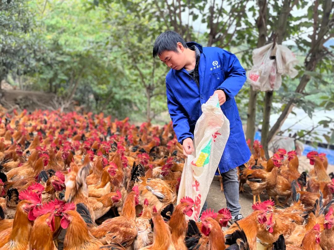 致富科研基地在哪里_特色科研种植致富_种植致富新项目