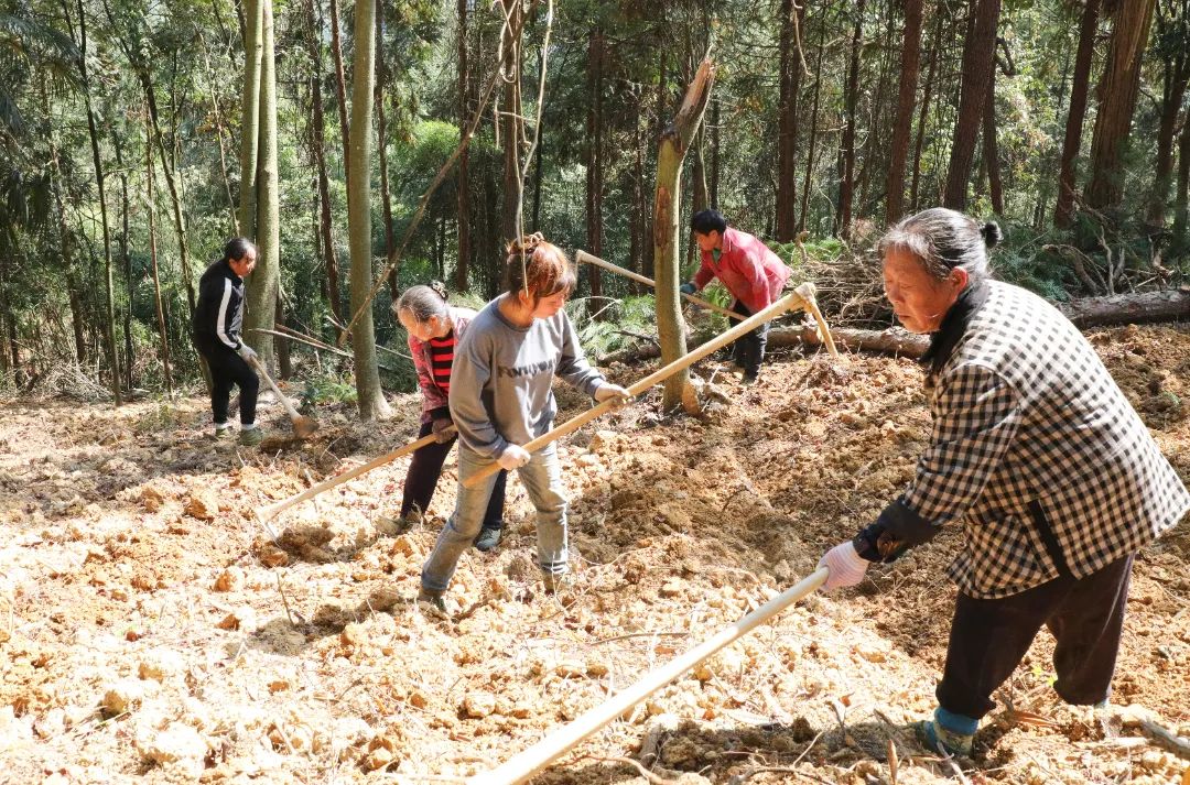 致富科研基地在哪里_特色科研种植致富_种植致富新项目