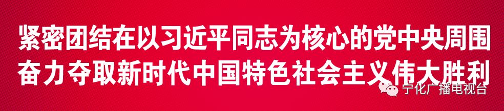 致富经肉鸽养殖技术视频_肉鸽养殖致富方法_致富经肉鸽养殖创业