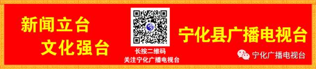 肉鸽养殖致富方法_致富经肉鸽养殖创业_致富经肉鸽养殖技术视频