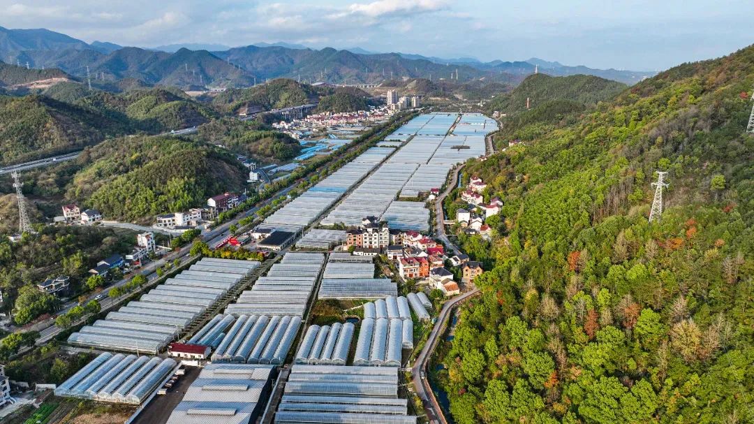 致富种植创业项目_特色科研种植致富_致富科研基地在哪里