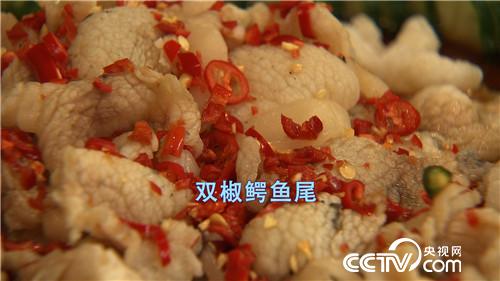 “鳄鱼疯子”把鳄鱼变乖 年赚百万