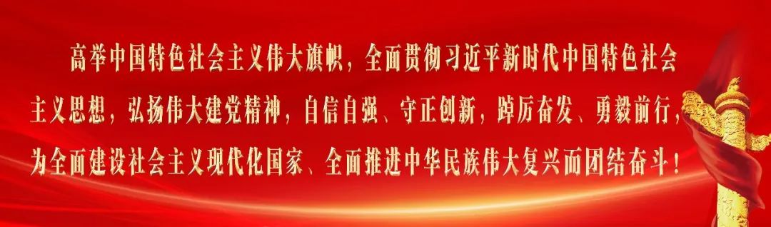 致富经肉鸽养殖技术视频_养殖肉鸽的前景如何_肉鸽养殖致富方法