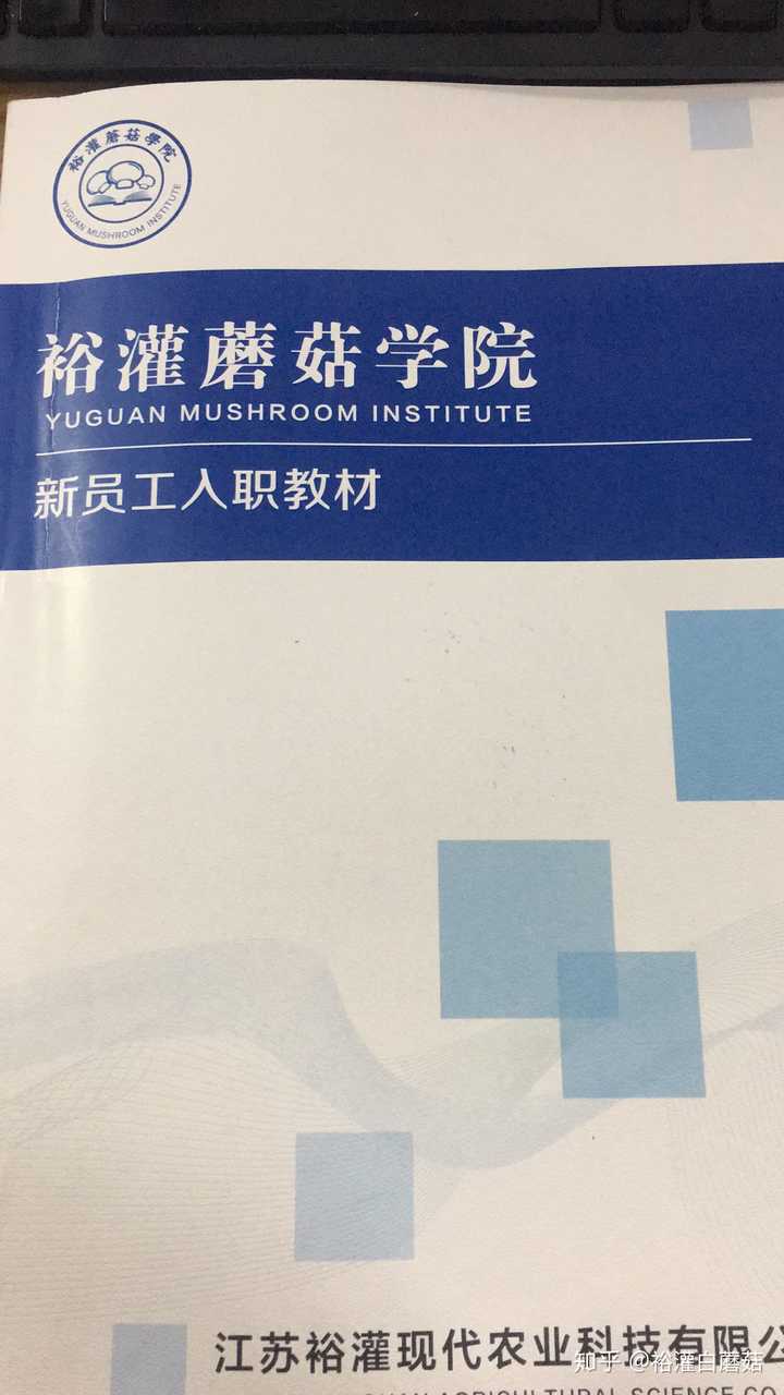 玉米芯蘑菇种植技术_磨菇种植技术_蘑菇种植技术视频教程