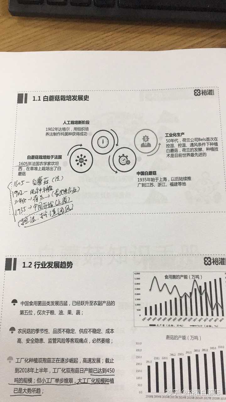 磨菇种植技术_蘑菇种植技术视频教程_玉米芯蘑菇种植技术