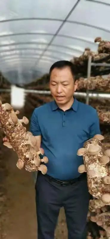 甘肃农业温室大棚_甘肃省大棚种植基地_甘肃种植大棚致富