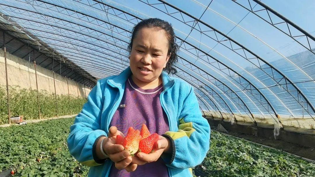 建养殖大棚视频_致富经之大棚养殖视频_视频致富养殖大棚怎么做