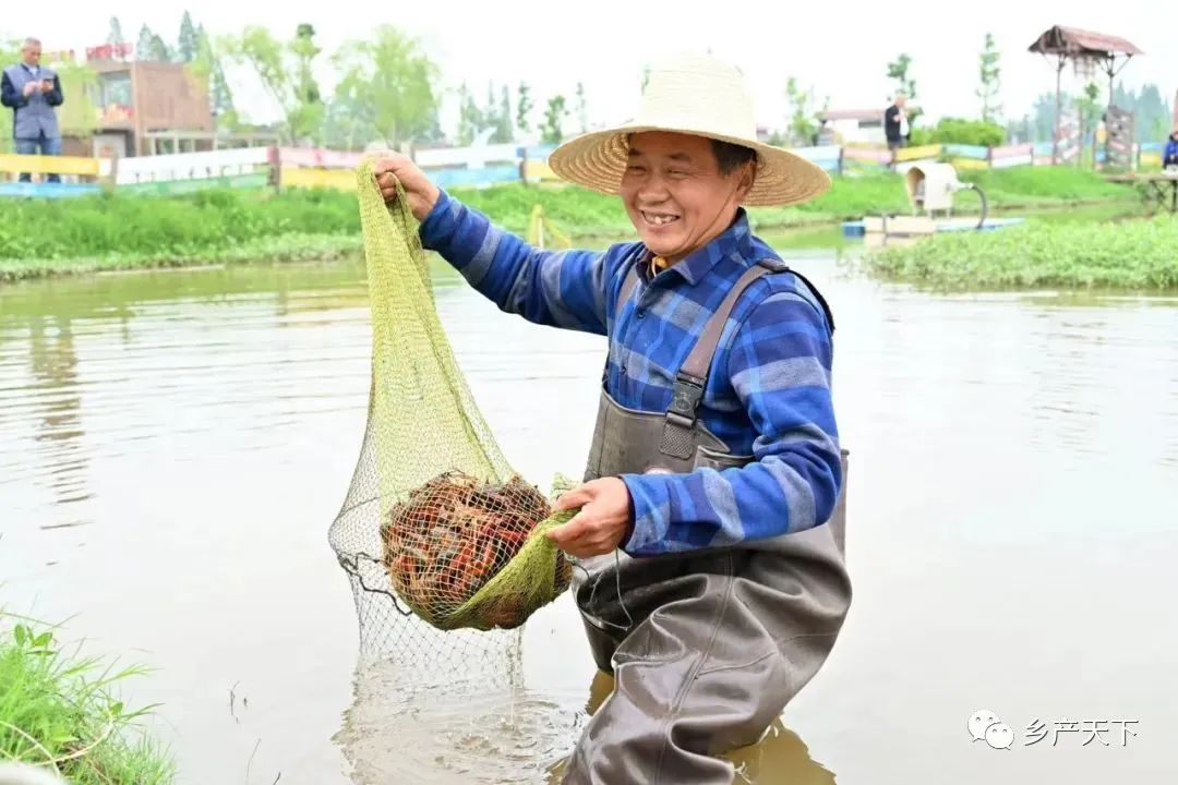 龙虾养殖项目实施方案_龙虾养殖人员技术小结报告_小龙虾养殖技术人员