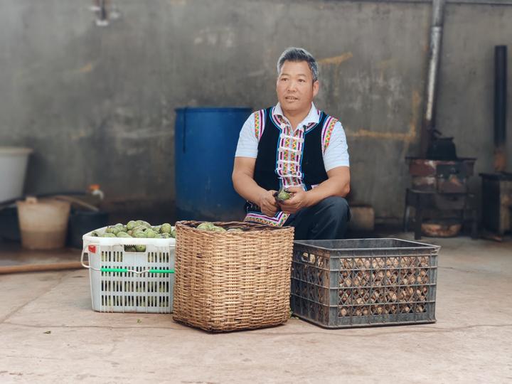 致富核桃种植技术视频_致富经核桃种植_核桃种植收益怎么样