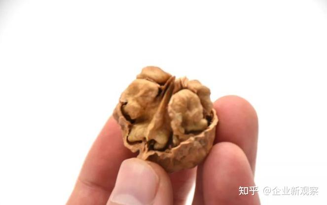 致富核桃种植视频_致富经核桃种植_致富核桃种植技术视频