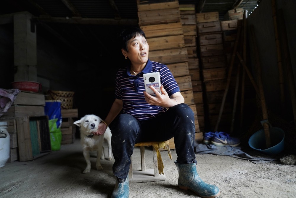 致富经蜗牛养殖视频_蜗牛养殖地址_黑龙江养殖蜗牛致富新闻