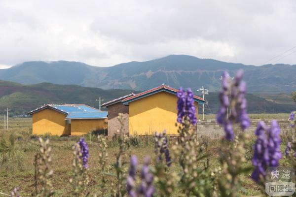 让中药材“致富经”传出大凉山 好医生集团接续乡村振兴再发力