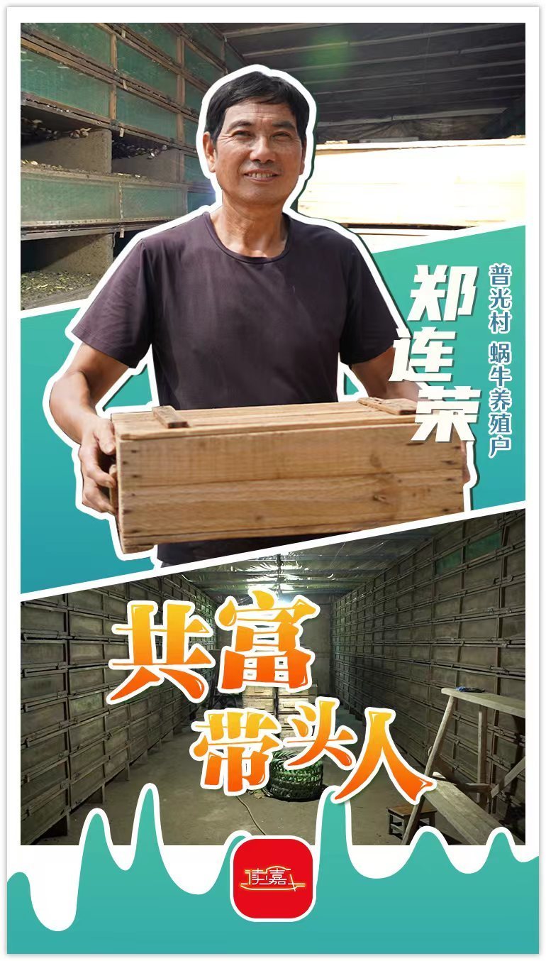 黑龙江养殖蜗牛致富新闻_致富经蜗牛养殖视频_黑龙江的蜗牛