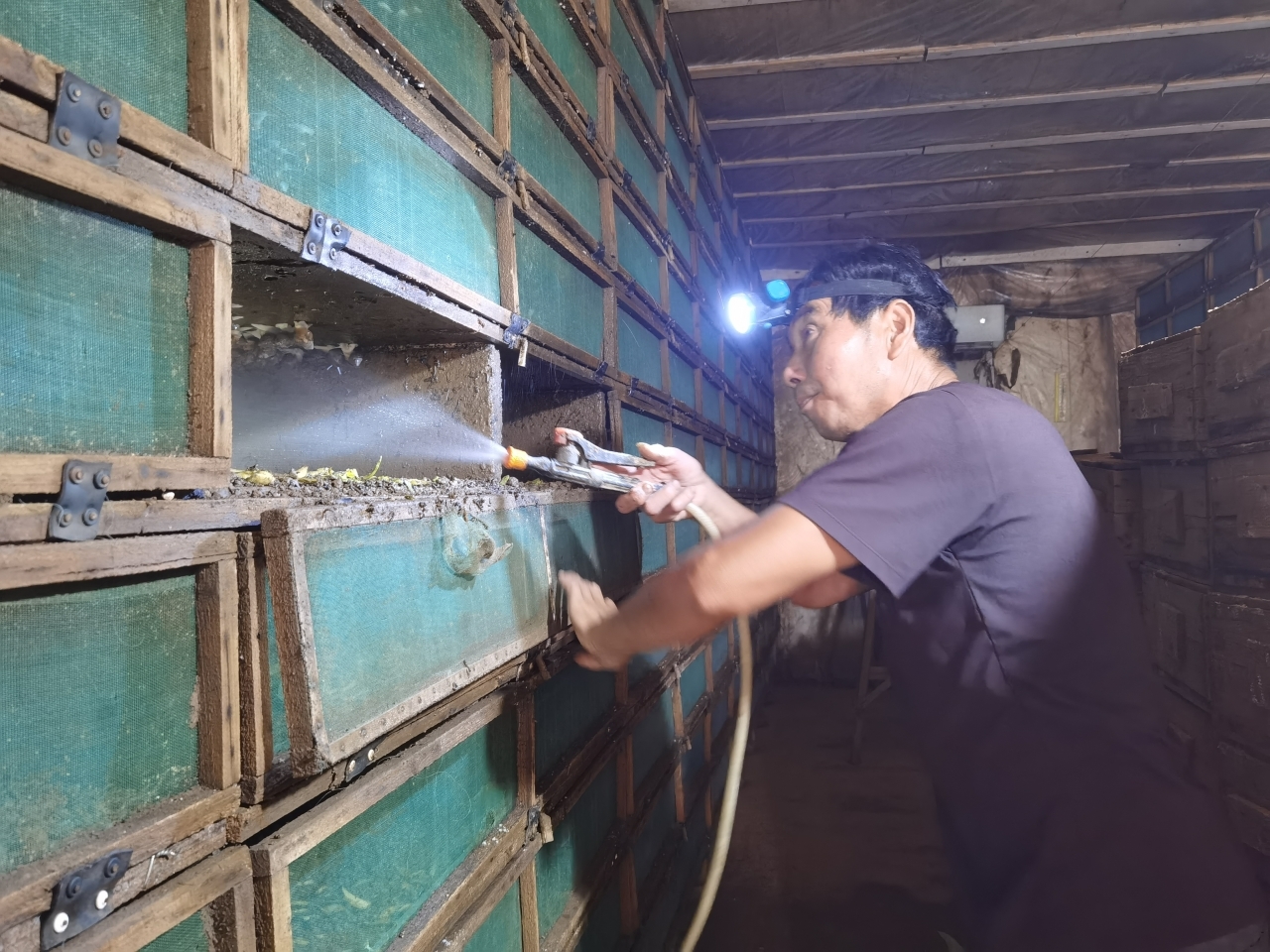 黑龙江的蜗牛_黑龙江养殖蜗牛致富新闻_致富经蜗牛养殖视频