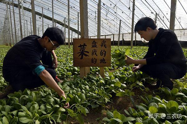 养麂子赚钱吗_致富经麂子养殖_致富经麂子养殖电视