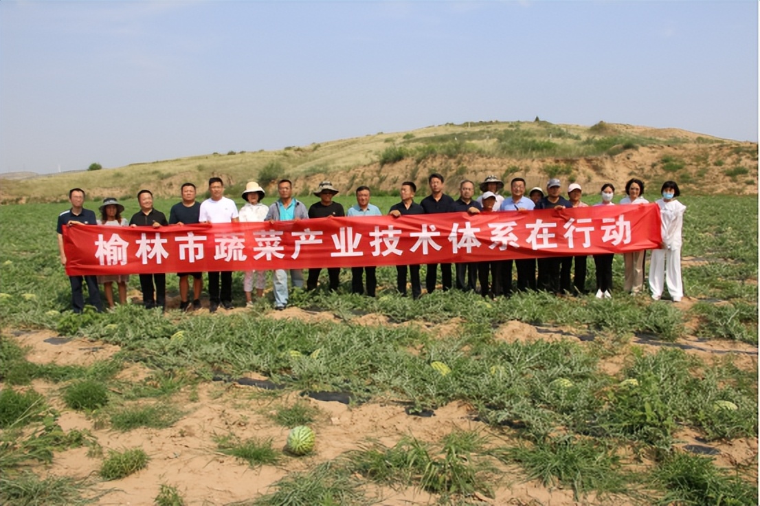 七月西瓜种植技术_西瓜种植_西瓜种植最新技术