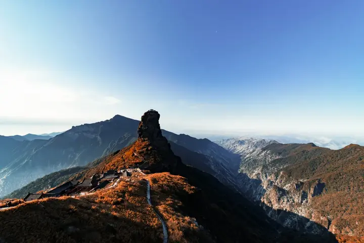 致富经土豆种植视频_种植土豆致富经_致富土豆种植视频