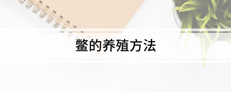 稻鳖养殖可行性报告_稻蛙养殖可行报告_有机水稻蛙鳖养殖技术