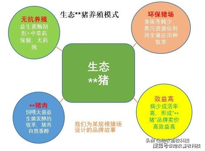 养殖南方草鱼技术要点_养殖南方草鱼技术要求_南方草鱼养殖技术