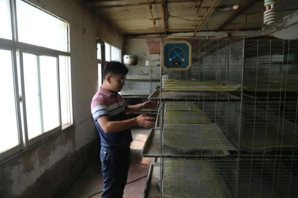 致富经土豆种植视频_致富土豆种植方法_土豆种植致富