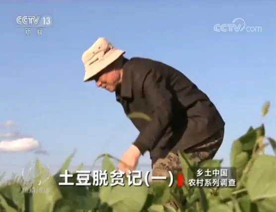 土豆致富经_致富土豆种植技术视频_土豆种植致富