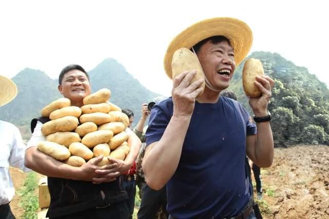 双孢菇种植致富_致富经蘑菇种植视频2019_致富经食用菌种植