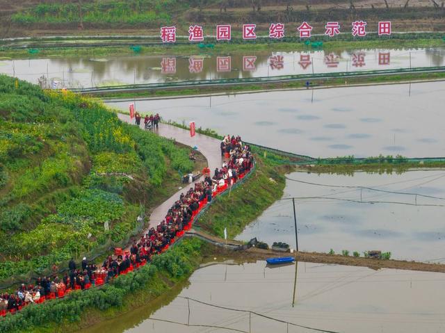 致富龙虾养殖小视频大全_致富龙虾养殖小视频_养殖小龙虾致富经