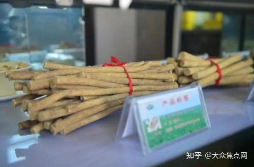 扬子江药业集团开展有机黄芪种植，打通乡村“致富路”