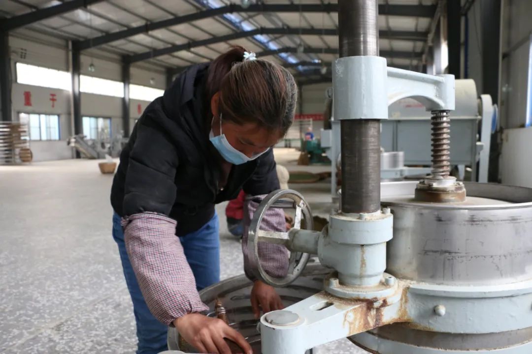 致富经种植三种水果亩收入过亿_蔬菜水果种植致富经验分享_蔬菜水果种植大全