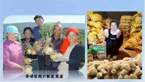 致富土豆种植方法_致富经土豆种植视频_土豆种植致富