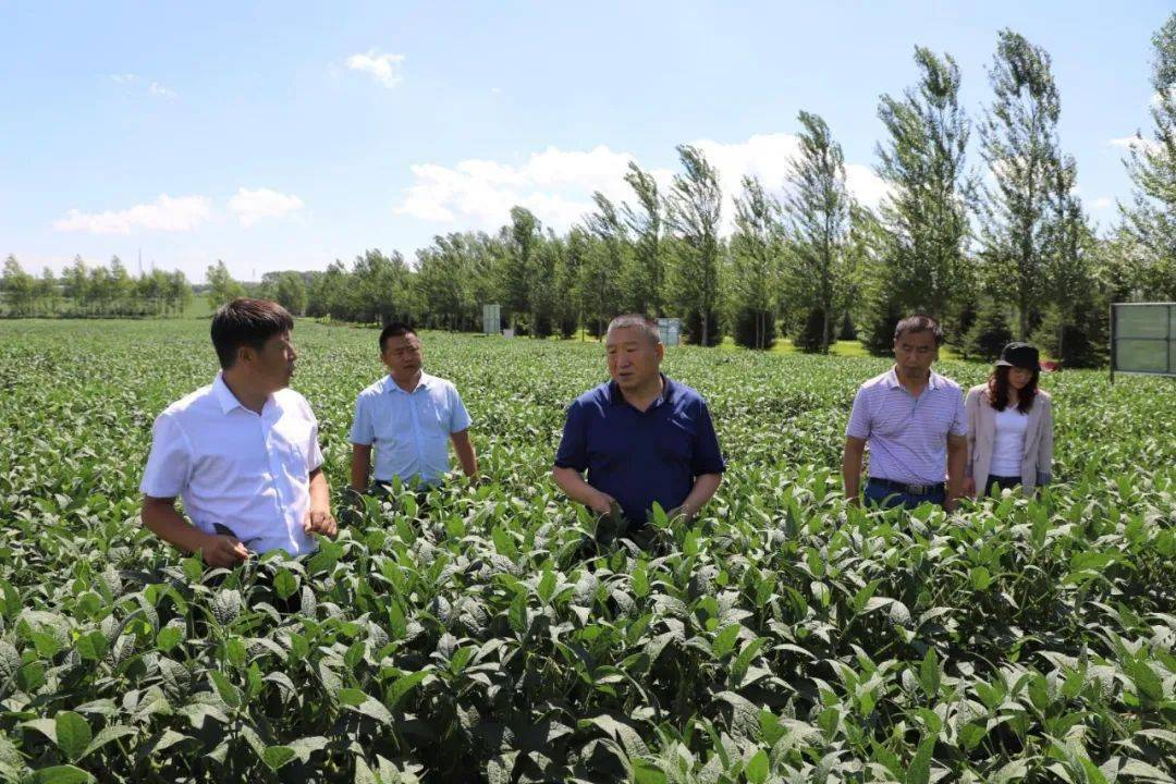 优质粮食工程总结_粮食优质工程典型经验发言_优质粮食工程典型经验交流