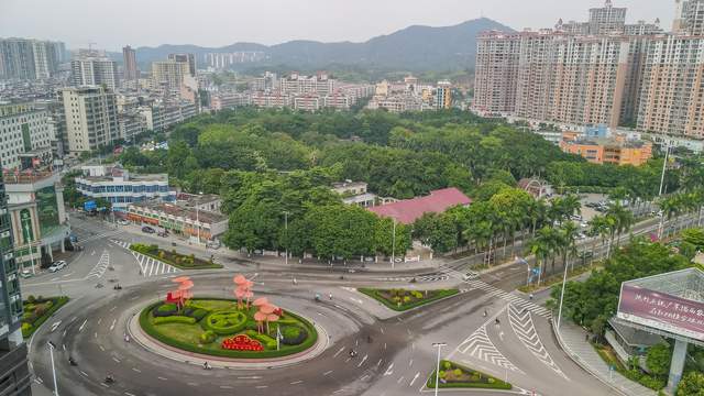 揭西大山深处的农村，村民靠种植橄榄，发财致富了