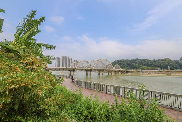 致富种植什么比较赚大钱_种植致富的地方_致富种植地方有哪些