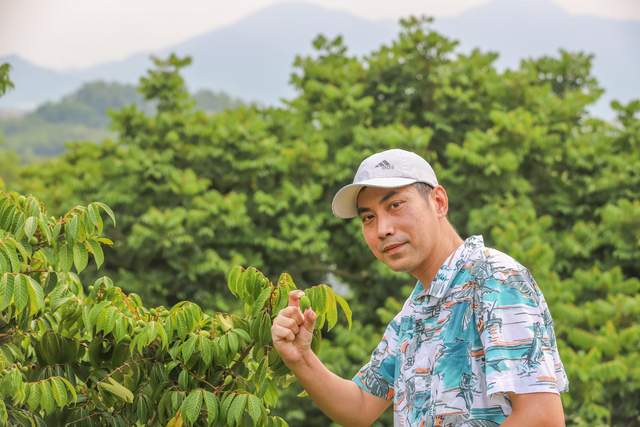 致富种植什么比较赚大钱_致富种植地方有哪些_种植致富的地方