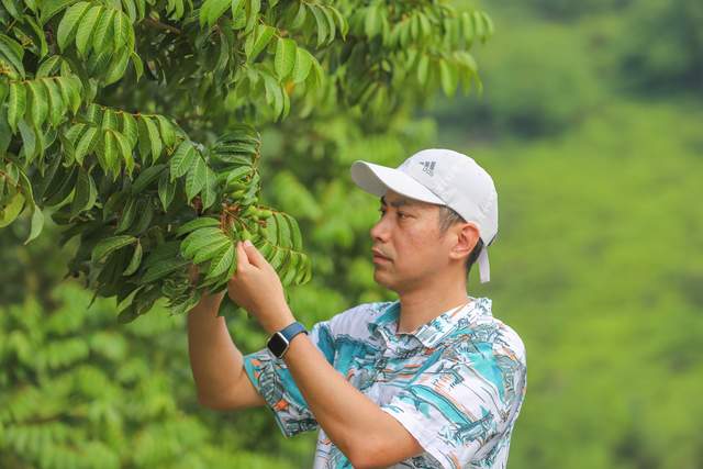 致富种植地方有哪些_种植致富的地方_致富种植什么比较赚大钱