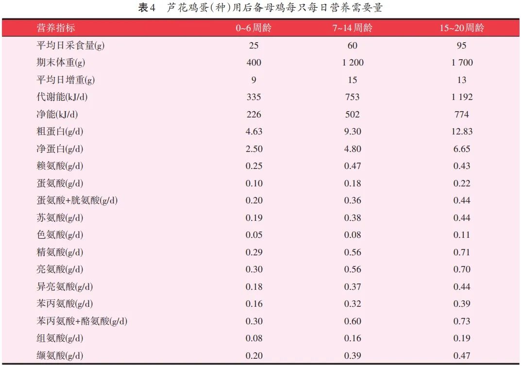 养殖鸡散养芦花技术要求_养殖鸡散养芦花技术视频_芦花鸡散养养殖技术