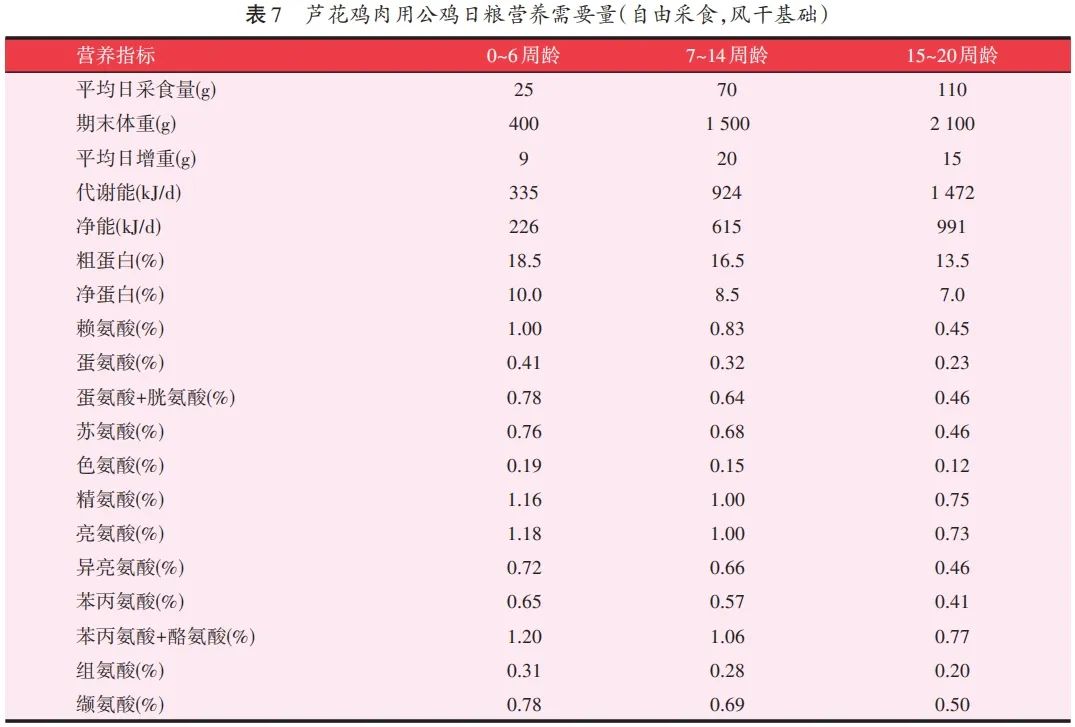 芦花鸡散养养殖技术_养殖鸡散养芦花技术要求_养殖鸡散养芦花技术视频