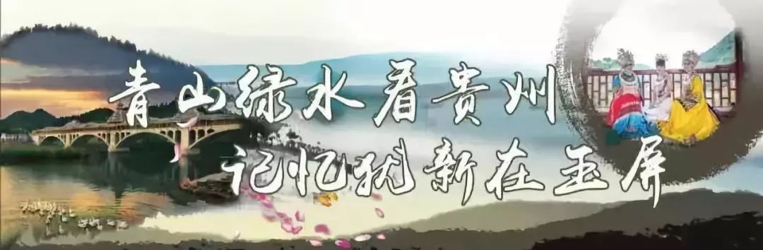 养殖野山鸡技术_致富养殖野山鸡视频_野山鸡养殖致富