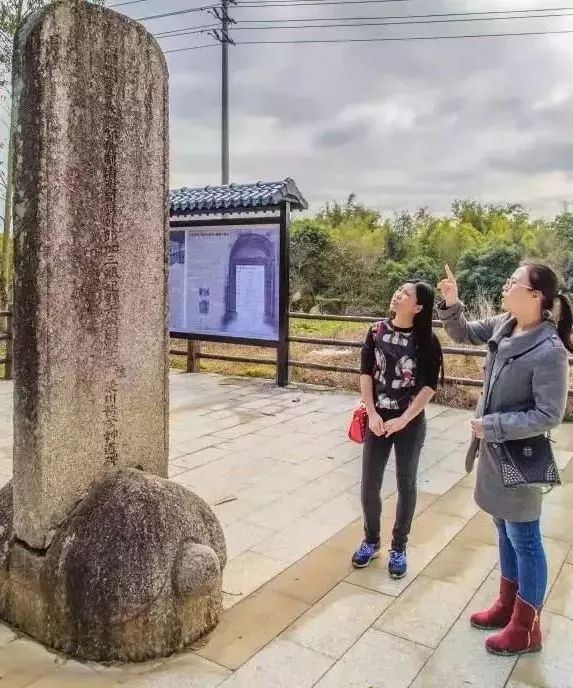 水泥种植致富项目_水泥种植物_致富水泥种植项目介绍